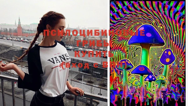 MESCALINE Сосновый Бор