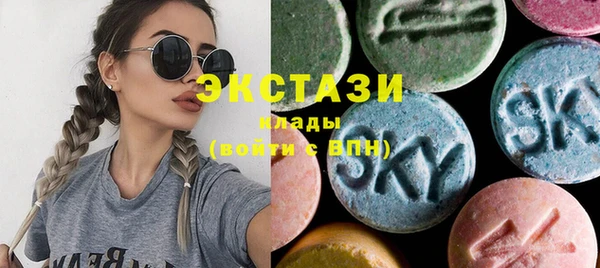 индика Снежногорск