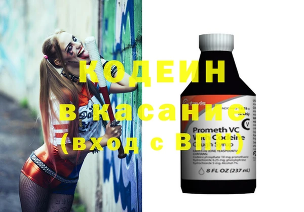 индика Снежногорск