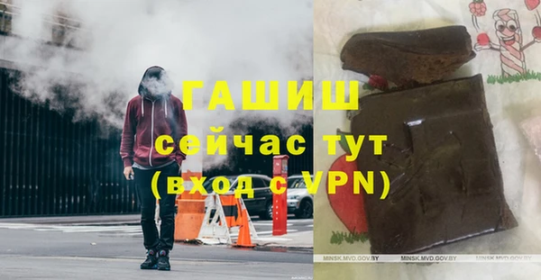 индика Снежногорск